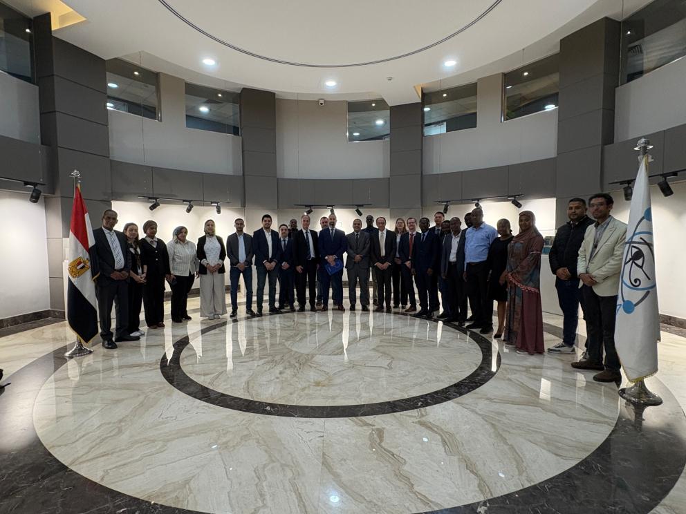 INSC Africa Project Emergencies Prepardness 2025