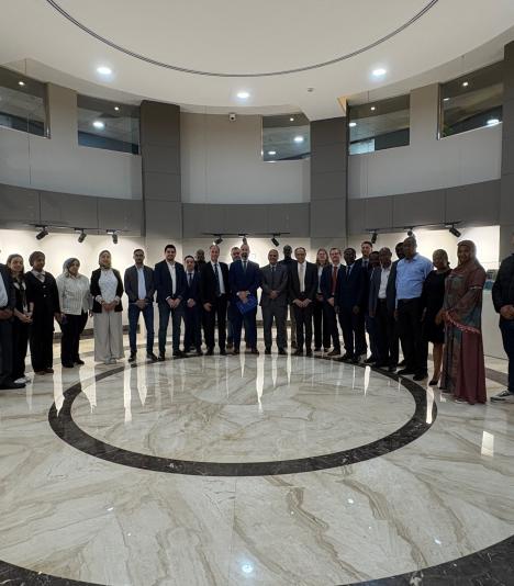 INSC Africa Project Emergencies Prepardness 2025